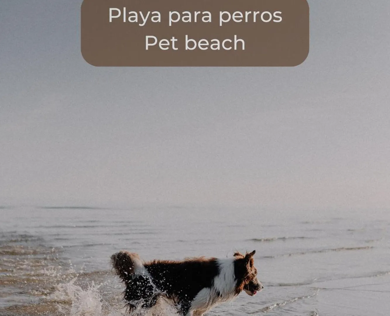 Apartmán Caramel Cookie Con Piscina, Doble Terraza, Parking Y Wifi Corralejo